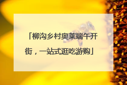 柳沟乡村奥莱端午开街，一站式逛吃游购