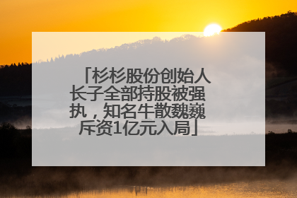 杉杉股份创始人长子全部持股被强执，知名牛散魏巍斥资1亿元入局