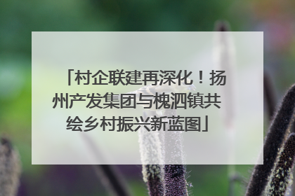 村企联建再深化！扬州产发集团与槐泗镇共绘乡村振兴新蓝图