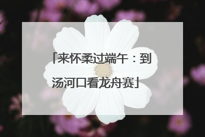 来怀柔过端午：到汤河口看龙舟赛