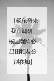 杨东奇来我市调研 杨国强陈必昌田和友分别参加