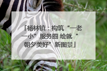 杨林镇：构筑“一老一小”服务圈 绘就“朝夕美好”新图景