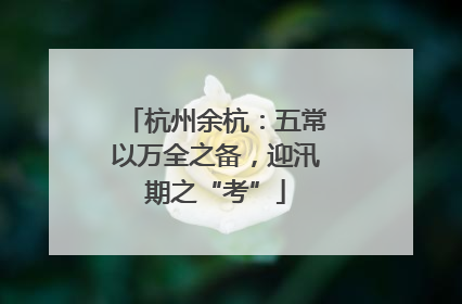 杭州余杭：五常以万全之备，迎汛期之“考”