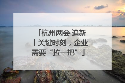 杭州两会·追新丨关键时刻，企业需要“拉一把”