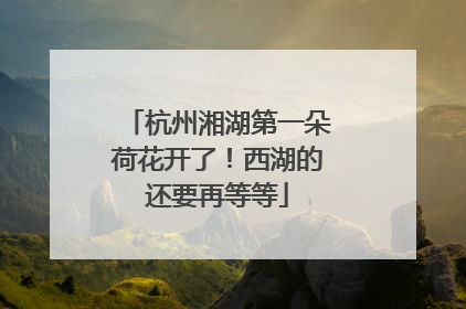 杭州湘湖第一朵荷花开了！西湖的还要再等等