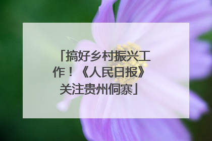 搞好乡村振兴工作！《人民日报》关注贵州侗寨
