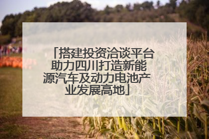 搭建投资洽谈平台 助力四川打造新能源汽车及动力电池产业发展高地
