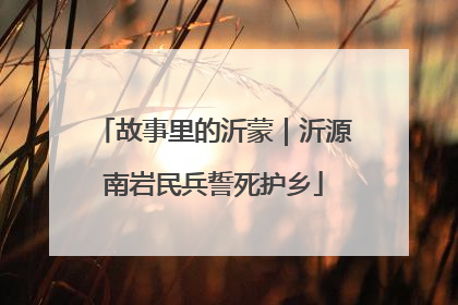 故事里的沂蒙｜沂源南岩民兵誓死护乡