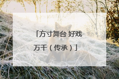 方寸舞台 好戏万千（传承）