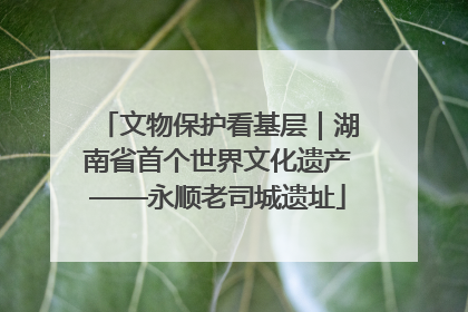 文物保护看基层｜湖南省首个世界文化遗产——永顺老司城遗址