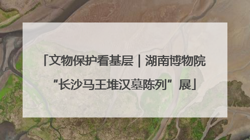 文物保护看基层｜湖南博物院“长沙马王堆汉墓陈列”展