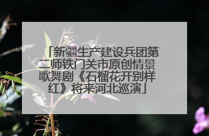 新疆生产建设兵团第二师铁门关市原创情景歌舞剧《石榴花开别样红》将来河北巡演