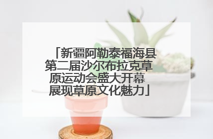 新疆阿勒泰福海县第二届沙尔布拉克草原运动会盛大开幕 展现草原文化魅力
