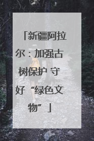 新疆阿拉尔：加强古树保护 守好“绿色文物”