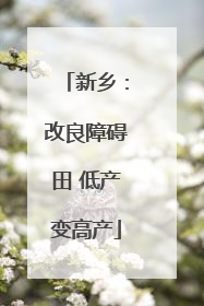 新乡：改良障碍田 低产变高产