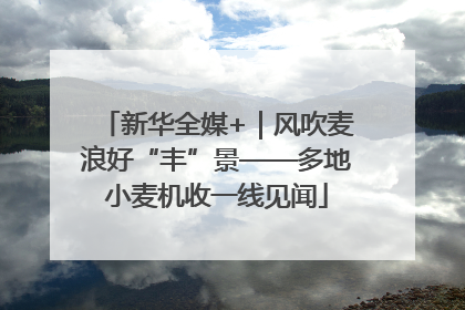 新华全媒+｜风吹麦浪好“丰”景——多地小麦机收一线见闻