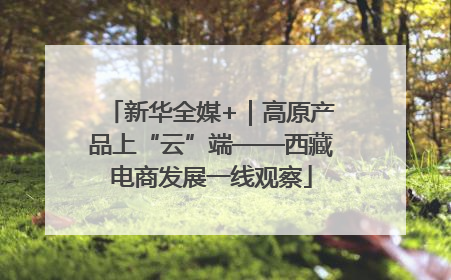 新华全媒+｜高原产品上“云”端——西藏电商发展一线观察