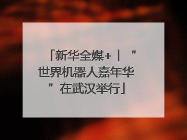 新华全媒+丨“世界机器人嘉年华”在武汉举行