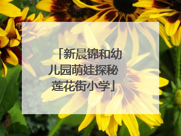 新晨锦和幼儿园萌娃探秘莲花街小学