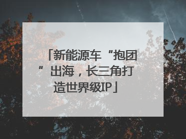 新能源车“抱团”出海，长三角打造世界级IP