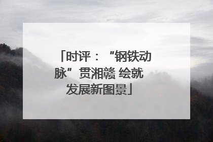 时评：“钢铁动脉”贯湘赣 绘就发展新图景