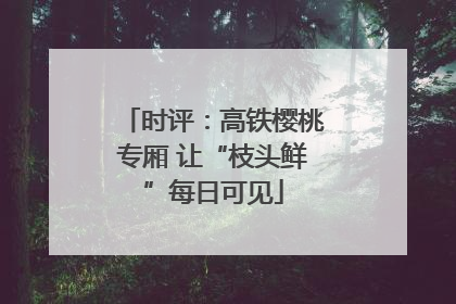 时评：高铁樱桃专厢 让“枝头鲜”每日可见