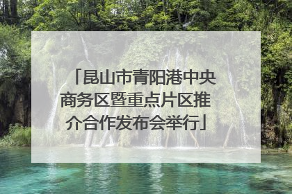 昆山市青阳港中央商务区暨重点片区推介合作发布会举行