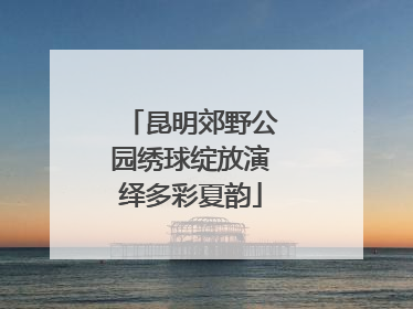 昆明郊野公园绣球绽放演绎多彩夏韵