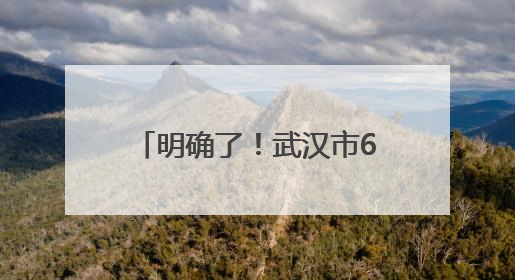明确了！武汉市6个远城区享有这12个事项定价权限
