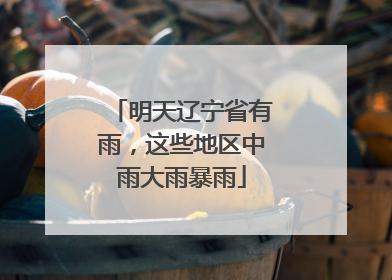 明天辽宁省有雨，这些地区中雨大雨暴雨
