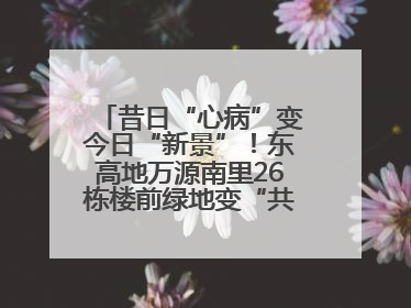 昔日“心病”变今日“新景”！东高地万源南里26栋楼前绿地变“共享花园”