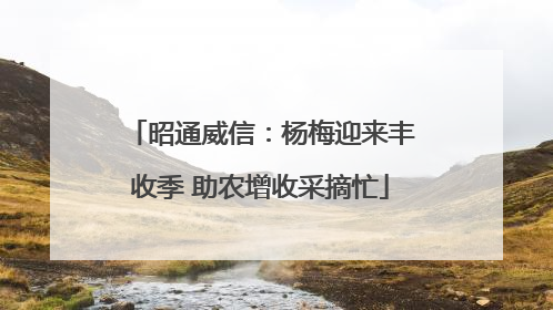 昭通威信：杨梅迎来丰收季 助农增收采摘忙
