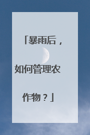 暴雨后，如何管理农作物？