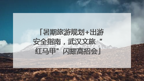 暑期旅游规划+出游安全指南，武汉文旅“红马甲”闪耀高招会