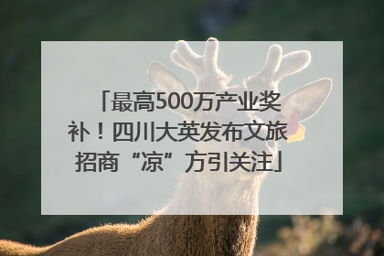 最高500万产业奖补！四川大英发布文旅招商“凉”方引关注