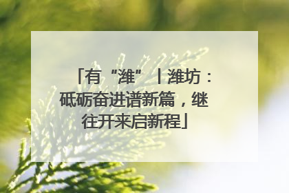 有“潍”丨潍坊：砥砺奋进谱新篇，继往开来启新程