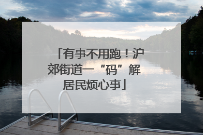 有事不用跑！沪郊街道一“码”解居民烦心事