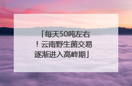 每天50吨左右！云南野生菌交易逐渐进入高峰期