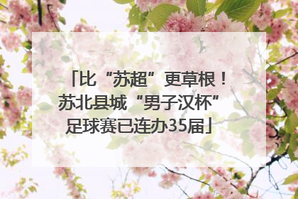 比“苏超”更草根！苏北县城“男子汉杯”足球赛已连办35届