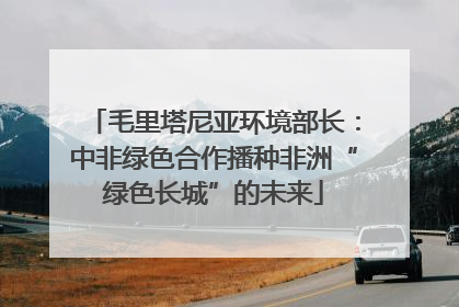 毛里塔尼亚环境部长：中非绿色合作播种非洲“绿色长城”的未来