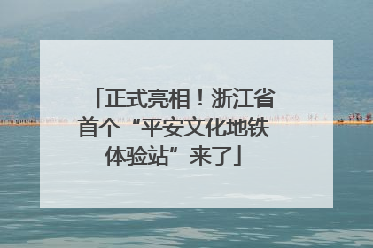 正式亮相！浙江省首个“平安文化地铁体验站”来了