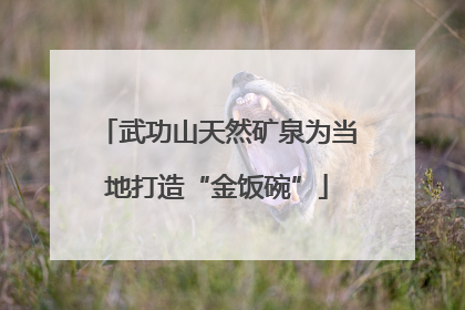 武功山天然矿泉为当地打造“金饭碗”