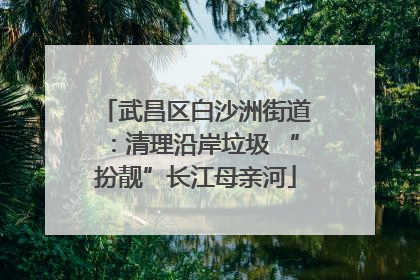 武昌区白沙洲街道：清理沿岸垃圾 “扮靓”长江母亲河