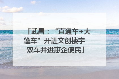 武昌：“直通车+大篷车”开进文创楼宇 双车并进惠企便民