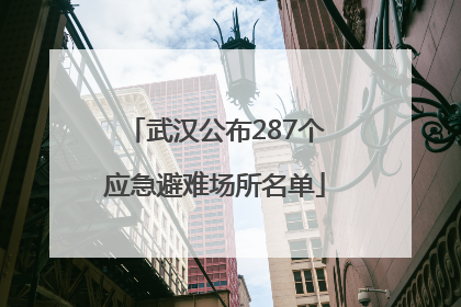 武汉公布287个应急避难场所名单