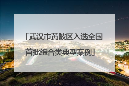 武汉市黄陂区入选全国首批综合类典型案例
