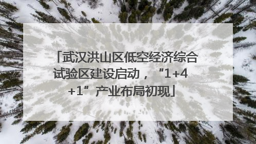 武汉洪山区低空经济综合试验区建设启动，“1+4+1”产业布局初现
