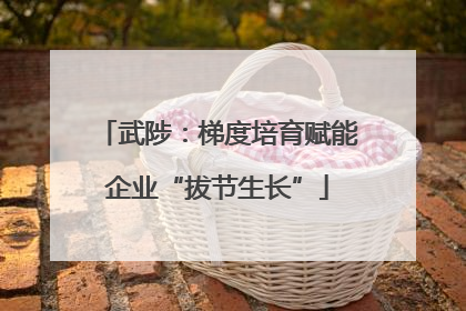 武陟：梯度培育赋能企业“拔节生长”