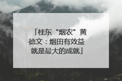 桂东“烟农”黄德文：烟田有效益就是最大的成就