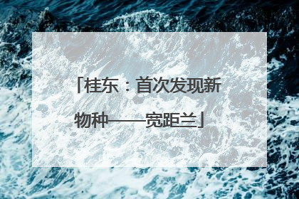桂东：首次发现新物种——宽距兰
